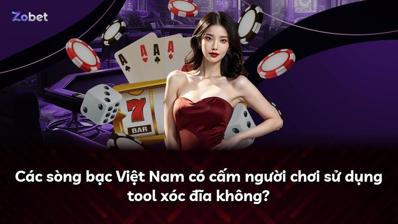 Các sòng bạc Việt Nam có cấm người chơi sử dụng tool xóc đĩa không?