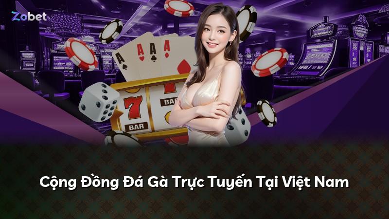 Cộng Đồng Đá Gà Trực Tuyến Tại Việt Nam