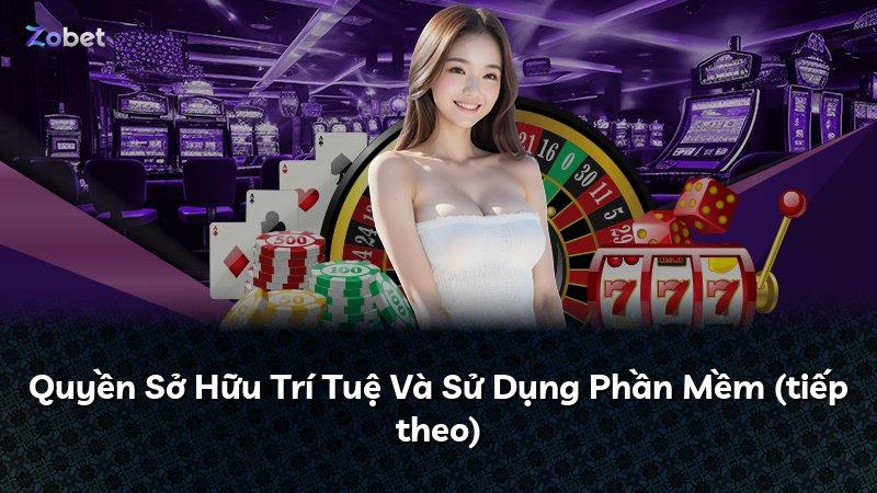 Quyền Sở Hữu Trí Tuệ Và Sử Dụng Phần Mềm (tiếp theo)